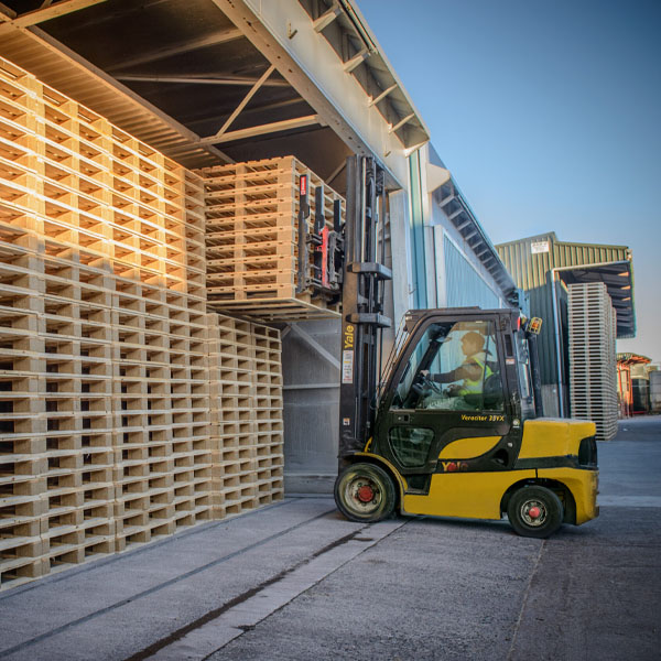 services - Removal & Relocation